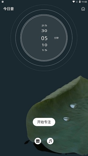 正念冥想金鱼