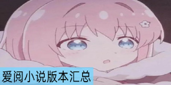 爱阅小说