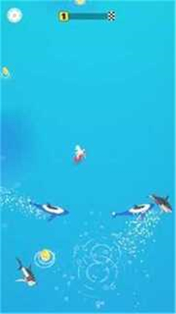 冲浪猎人