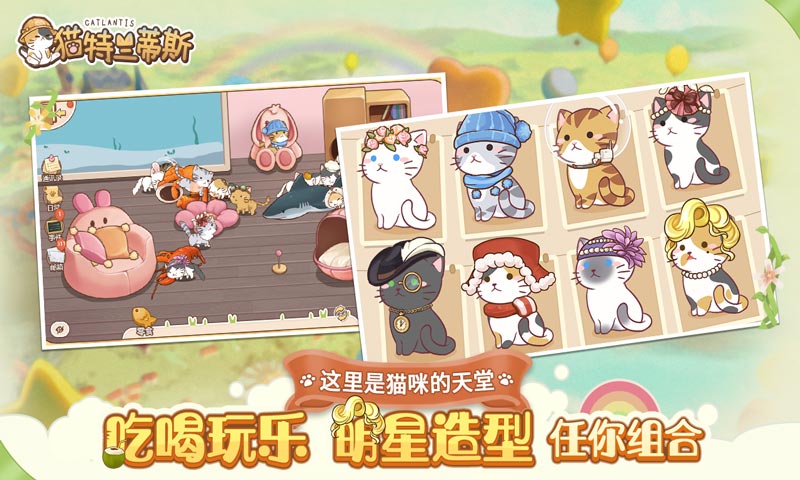 猫猫狗狗一起玩