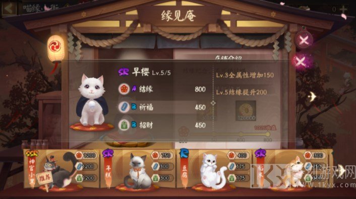 阴阳师喵缘小街猫咪怎么选 喵缘小街猫咪选择推荐[多图]图片1
