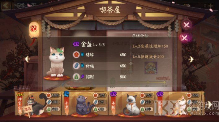 阴阳师喵缘小街猫咪怎么选 喵缘小街猫咪选择推荐[多图]图片3