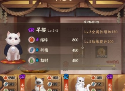阴阳师喵缘小街猫咪怎么选 喵缘小街猫咪选择推荐