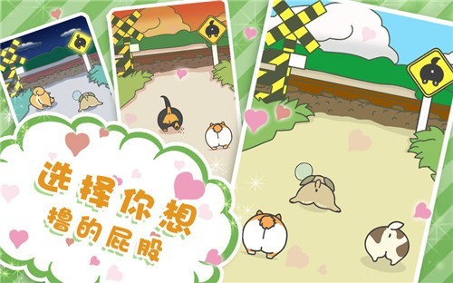 狗狗的屁股