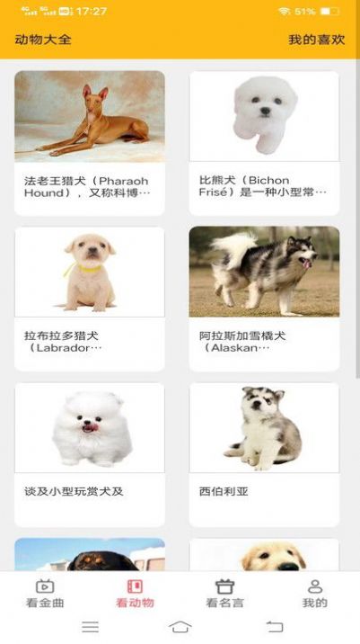 金牌聚看免费版