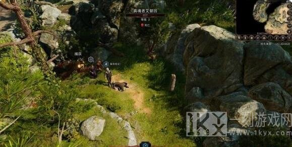 博德之门3第七章闯关流程攻略