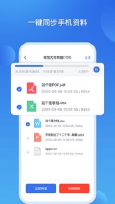 数据恢复王2023