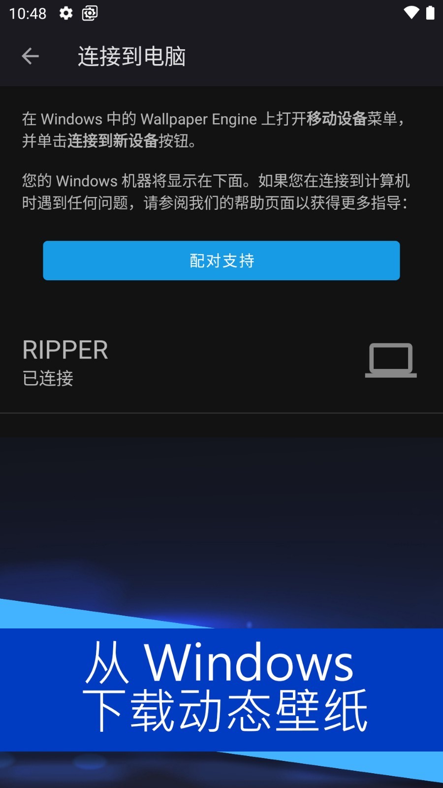 麻匪wallpaper壁纸