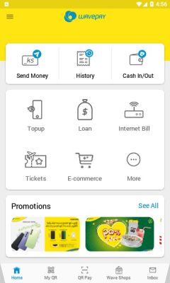 wavepay手机版