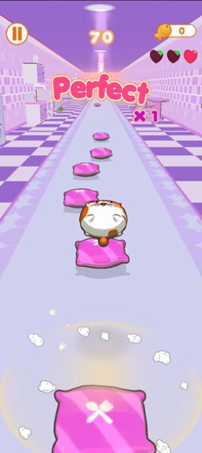猫跳跃舞动喵