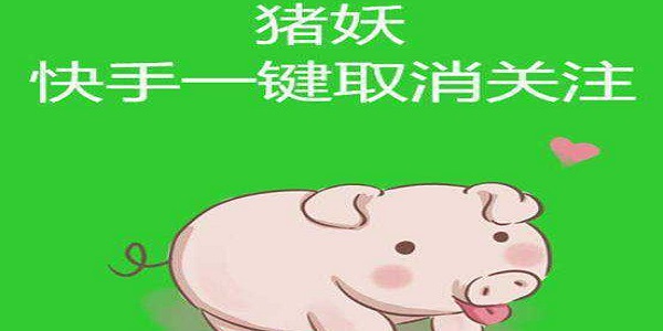 猪妖快手
