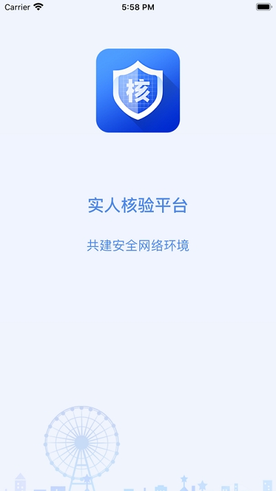 实人核验