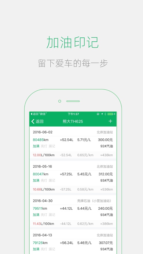 小熊油耗2023