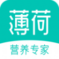薄荷健康减肥