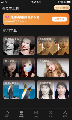 AI工具管家软件
