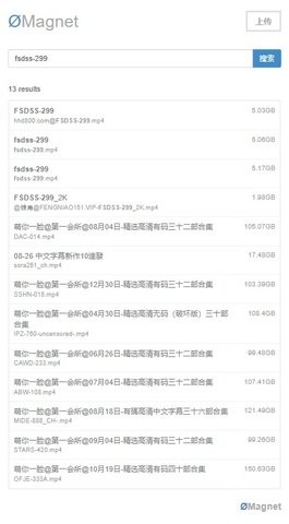 无极磁链magnet