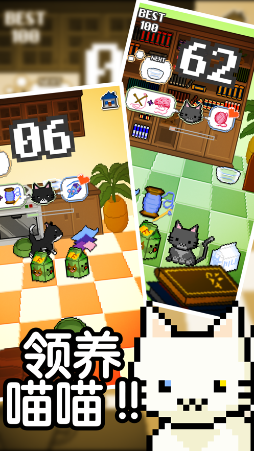 我家猫咪很任性
