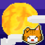 我家猫咪很任性