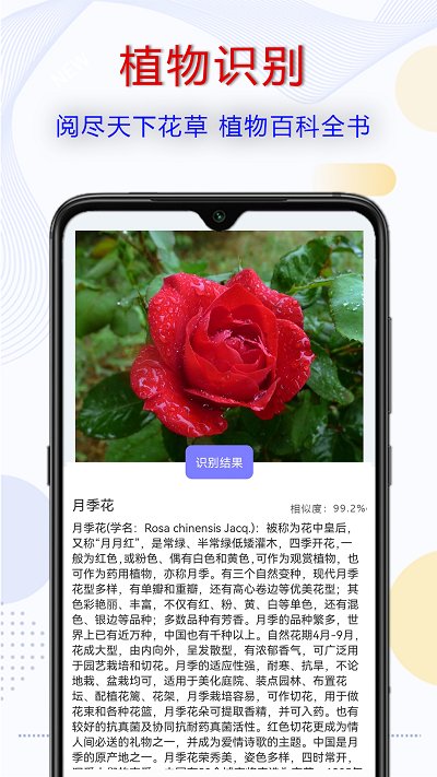 拍照识字宝