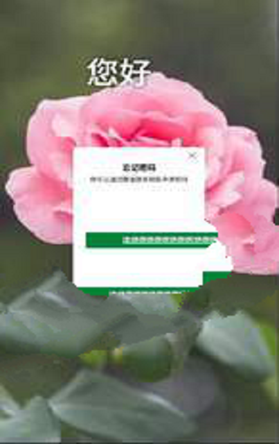 海盛花迈