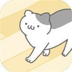 猫咪很可爱可是我是幽灵