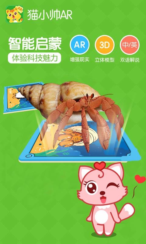 猫小帅AR
