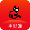 集极猫