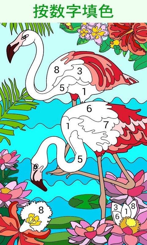 编号绘图本