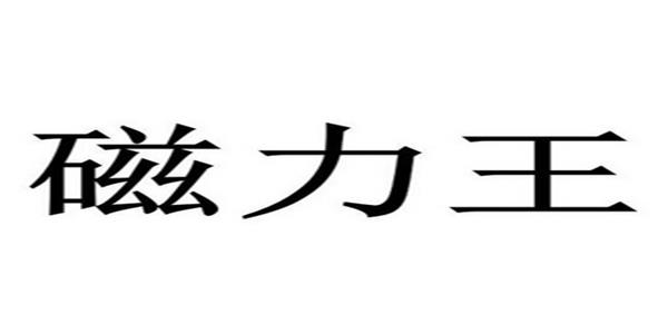 磁力王