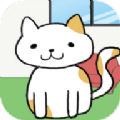 我的猫咪在哪儿
