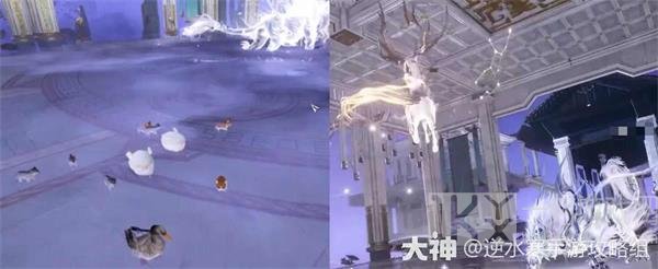 逆水寒手游永夜星都幻域怎么打 永夜星都幻域BOSS开荒攻略
