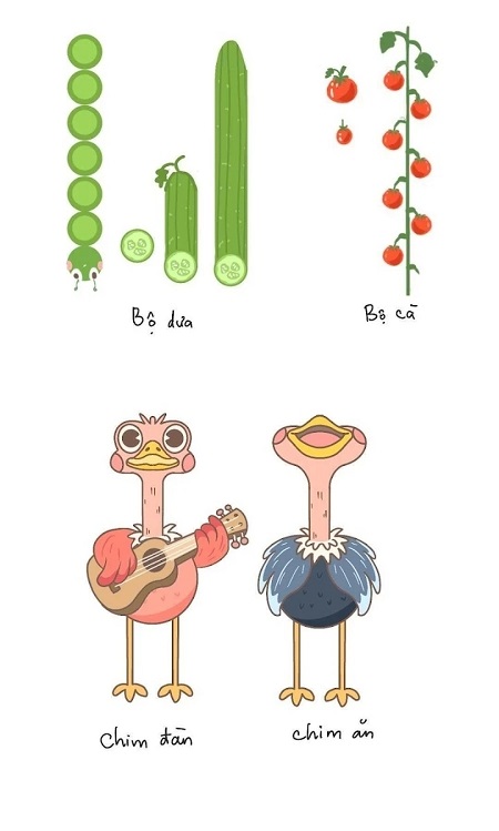 鸟儿二重唱