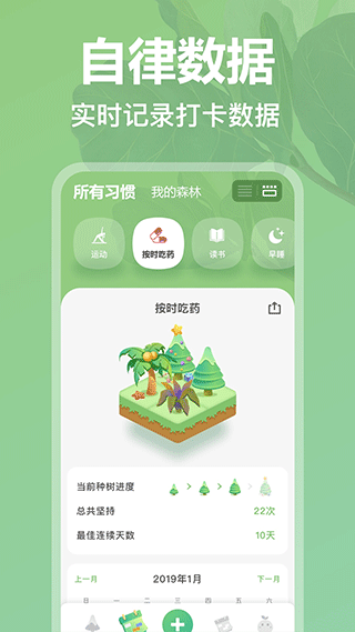 打卡森林