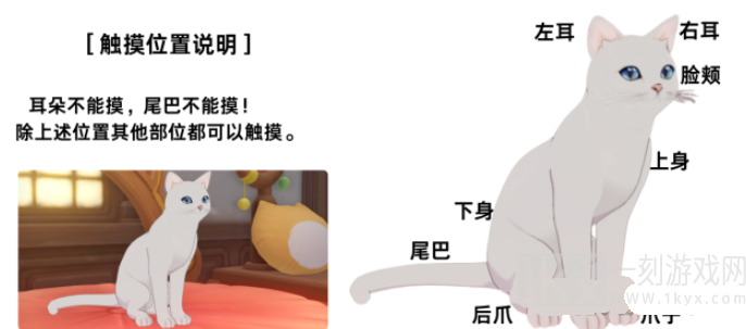 原神兔叽的跳跳树屋怎么过 兔叽的跳跳树屋通关攻略