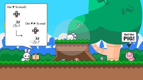 漂亮的兔子