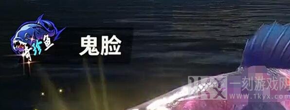 欢乐钓鱼大师稀有鱼有哪些 最新稀有鱼排行榜