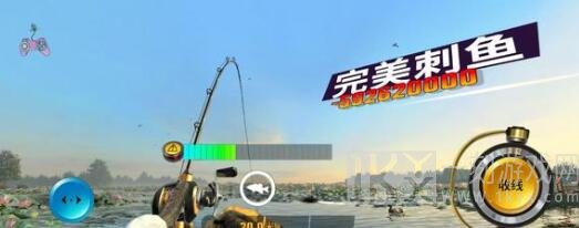 欢乐钓鱼大师稀有鱼有哪些 最新稀有鱼排行榜