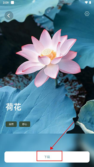 正念睡眠安卓版