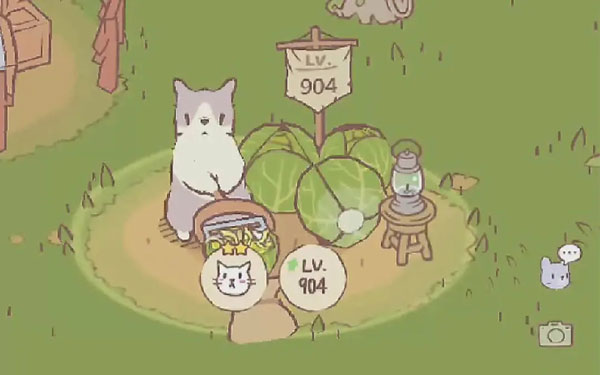 CatsSoup