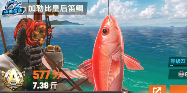 欢乐钓鱼大师图鉴最后一条鱼长什么样 欢乐钓鱼大师全部图鉴大全最新