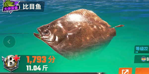 欢乐钓鱼大师图鉴最后一条鱼长什么样 欢乐钓鱼大师全部图鉴大全最新