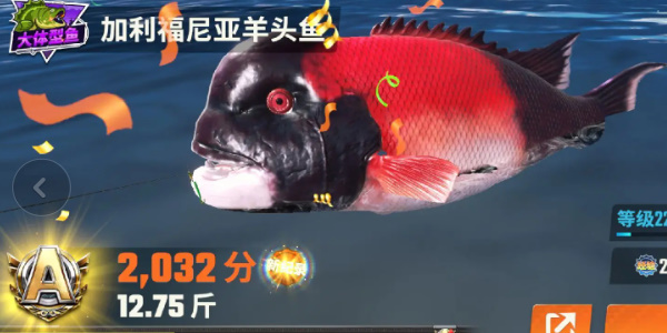 欢乐钓鱼大师图鉴最后一条鱼长什么样 欢乐钓鱼大师全部图鉴大全最新