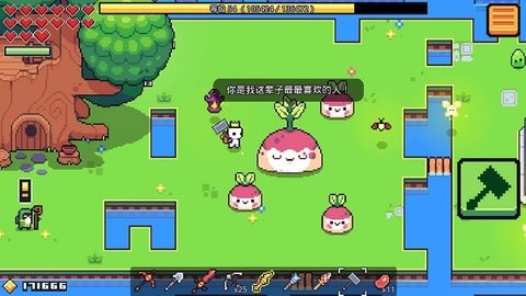 Forager