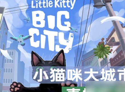 小猫咪大城市快速午睡动作是什么 快速午睡动作怎么获取