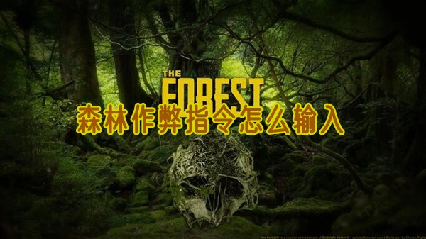 森林游戏作弊代码如何输入  森林怎么输入作弊代码