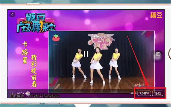 糖豆广场舞2024