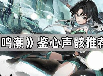 鸣潮鉴心声骸怎么搭配 声骸搭配方法介绍