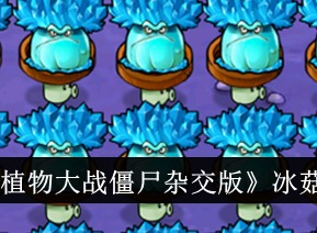 植物大战僵尸杂交版冰菇窝瓜僵尸能力是什么 冰菇窝瓜僵尸属性详解