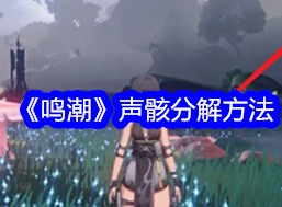 鸣潮声骸怎么分解   鸣潮多余的声骸有什么作用