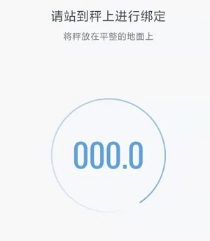 小米体脂秤